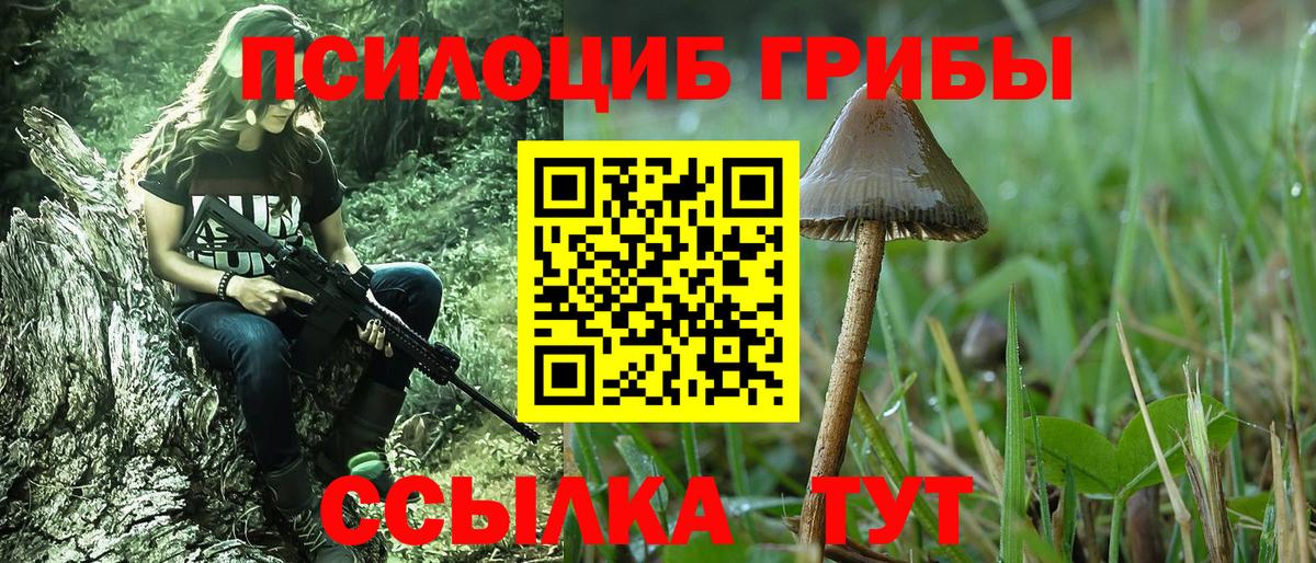 Псилоцибиновые грибы GOLDEN TEACHER  Вход с VPN  Куйбышев  закладки  Псилоцибиновые грибы мухоморы 